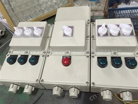 6个回路防爆动力配电箱BXD58带总开关