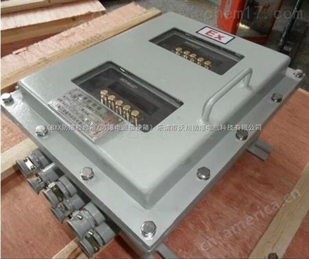 BYK-304（IP65）不锈钢防爆仪表箱定做-数量不限