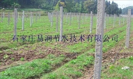 滴灌设备-宜阳县抗老化PE水管 型号