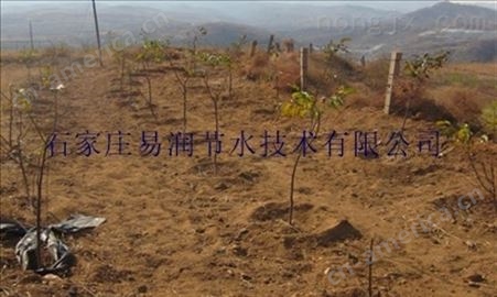 盐边县果园节水灌溉价格_小管出流报价
