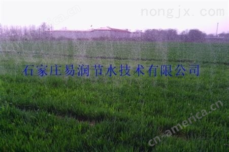 河北省地下水超采喷灌工程承接|微喷带供应顾客