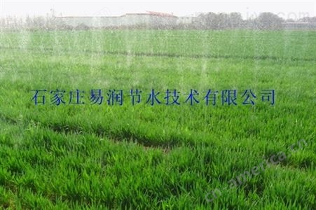 灌溉喷带原装现货|提供河北农田地区